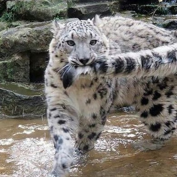 Meet your Posher, Jen - Picture 1 of 1